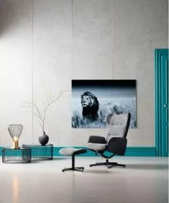 Kare Design Ohio Salt And Pepper Pyörivä Nojatuoli Rahilla -Huonekalu kauppa fotel obrotowy i stolek ohio 71x106 cm szary 12