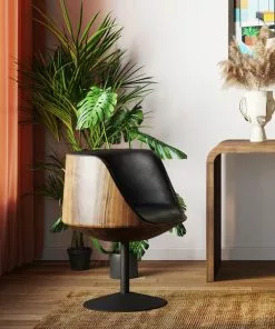 Kare Design Club Kääntyvä Nojatuoli, Pähkinä