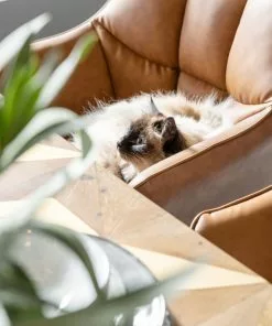 Kare Design Thinktank Tuoli Käsinojilla, Ruskea -Huonekalu kauppa krzeslo z podlokietnikami thinktank 62x85 cm jasnobrazowe skora naturalna 10