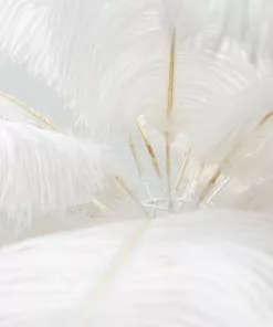 Kare Design Feather Palm Pöytävalaisin Valkoinen 60cm -Huonekalu kauppa lampa stolowa palma biala strusie piora 60 cm podstawa zlota 4