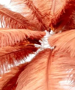 Kare Design Feather Palm Pöytävalaisin, Ruosteenpunainen 60cm -Huonekalu kauppa lampa stolowa palma brazowa rdzawa strusie piora 60 cm podstawa zlota 5