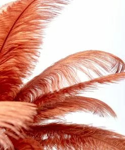 Kare Design Feather Palm Pöytävalaisin, Ruosteenpunainen 60cm -Huonekalu kauppa lampa stolowa palma brazowa rdzawa strusie piora 60 cm podstawa zlota 7